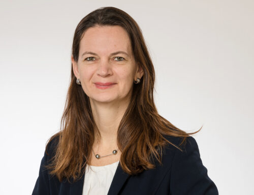 Suchan-Mayr: „Donauinsel für Niederösterreich endlich auf die Tagesordnung setzen, anstatt sie im Ausschuss zu vergraben!“
