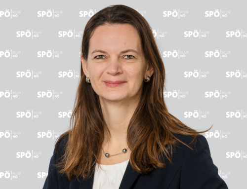 Suchan-Mayr: „Energiegemeinschaften sind der Motor für leistbare Energie in Niederösterreich“