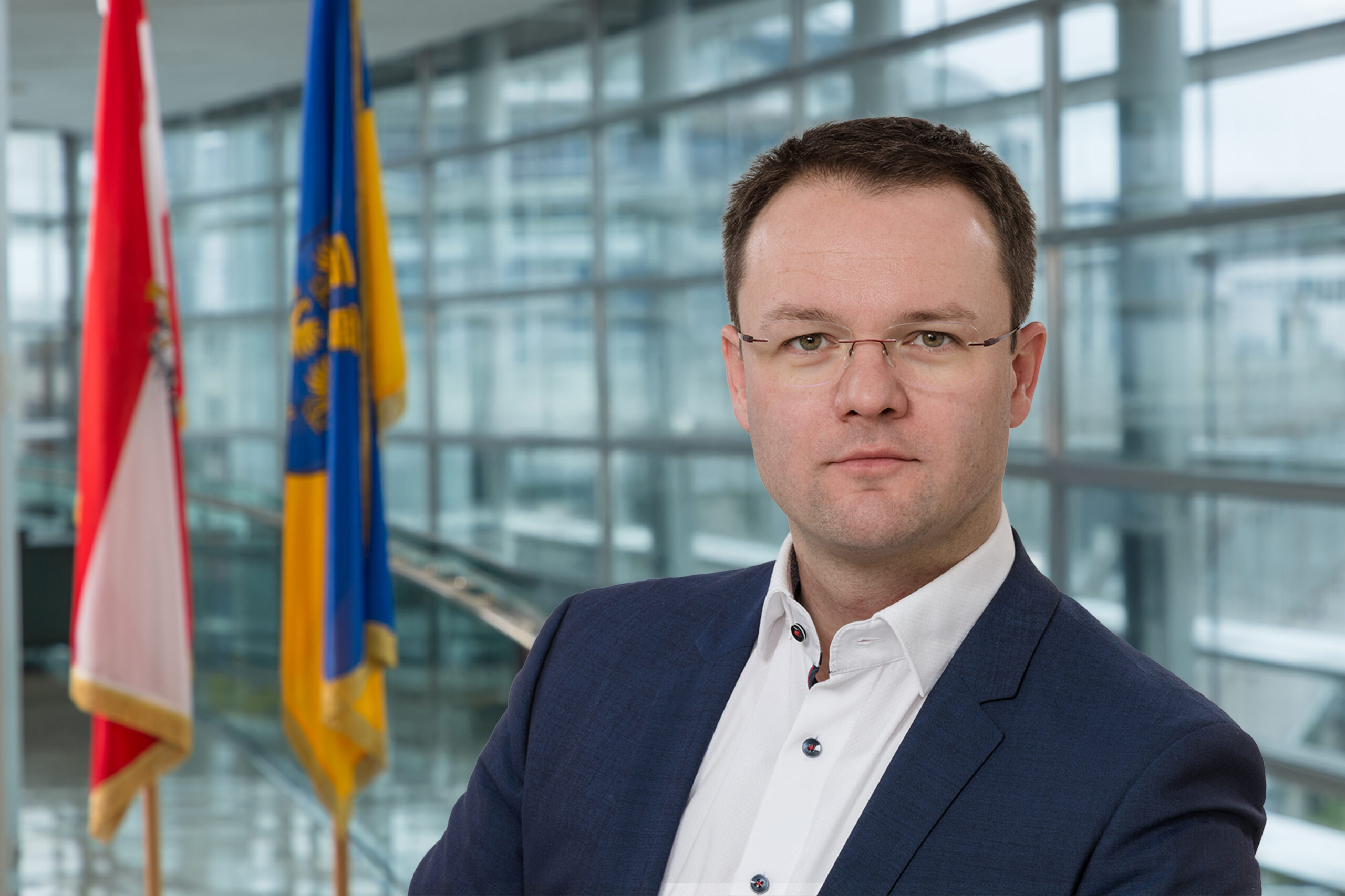 LAbg. Rente Pfister Fahnen